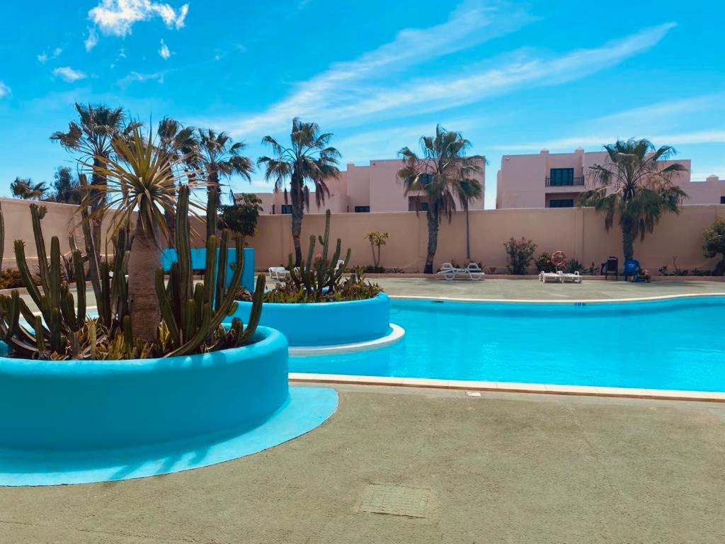 Parque HolandesSurf And Chill Bungalow 70アパートメント エクステリア 写真